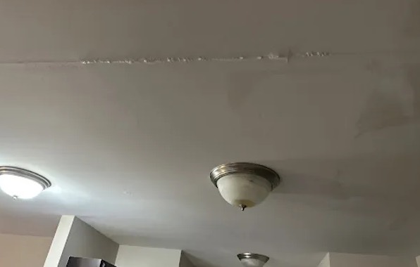 Ceiling Water Extraction in Wolf Creek, UT