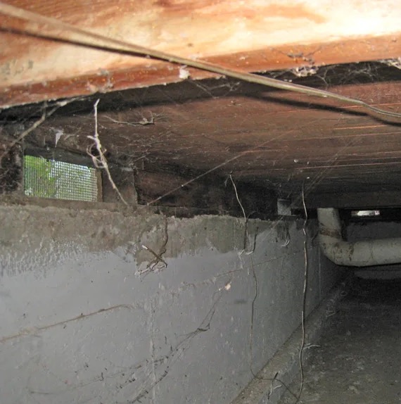 Crawlspace Water Extraction in Layton, UT