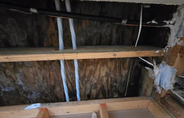 Attic Water Extraction in Centerville, UT